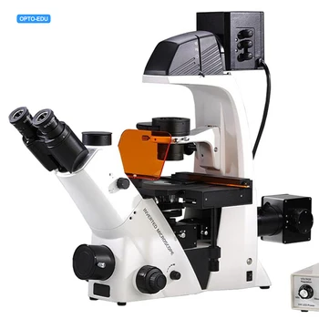 Перевернутый микроскоп OPTO-EDU A16.2615-L4 Microscopio BGUV fluorescencia