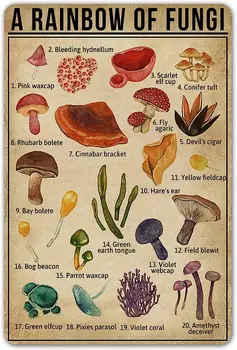 SmartCows Радуга Грибов Винтажная Жестяная Вывеска Mushroom Fungi Knowledge Металлические Вывески Для Любителей Природы Настенный Художественный Плакат Декор