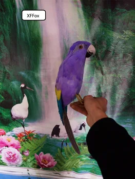 новая реальная жизнь фиолетовый попугай модель пены и перьев моделирование попугай птица подарок около 42 см xf0227